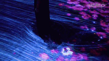 花与瀑布的沉浸式世界 花与瀑布的沉浸式世界