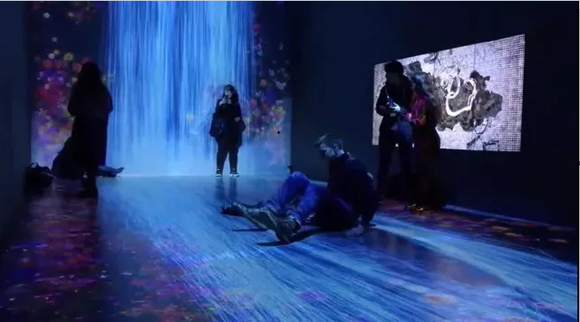 花与瀑布的沉浸式世界 花与瀑布的沉浸式世界