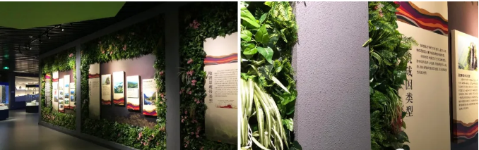 解析武功山地质博物馆设计元素 解析武功山地质博物馆设计元素