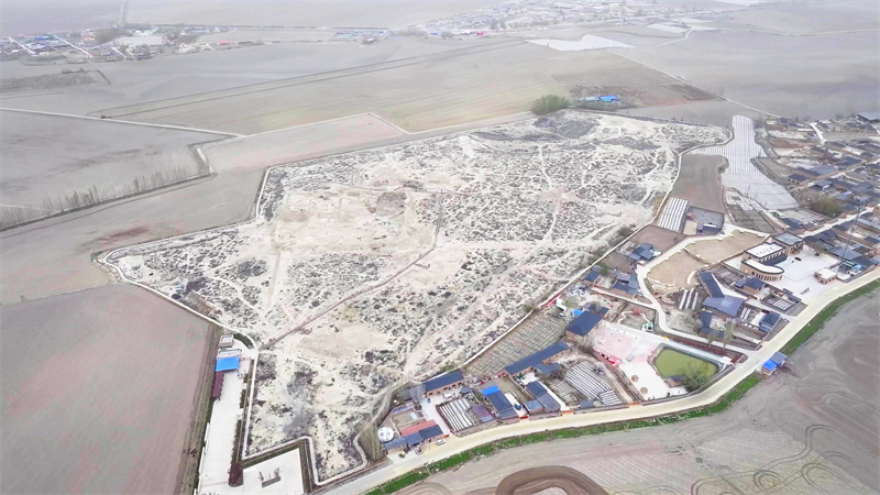 遗址文物香蕉视频免费下载APP施工丨新疆达勒特古城遗址文物陈列馆 遗址文物香蕉视频免费下载APP施工丨新疆达勒特古城遗址文物陈列馆